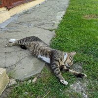 - Жить хорошо! :: Валерий Судачок