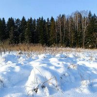 Замёрзшее озеро. :: Милешкин Владимир Алексеевич 