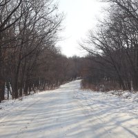 Старая дорога на Васильевку. :: Шурф Сьлядек Старая дорога на Васильевку. :: Шурф Сьлядек