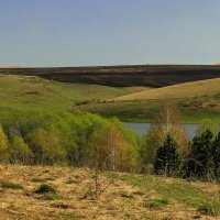 Весенние горизонтали :: елена беликова