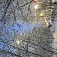 Утро :: Эльвира Белянская Утро :: Эльвира Белянская