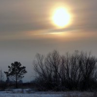 Холодное солнце. :: nadyasilyuk Вознюк