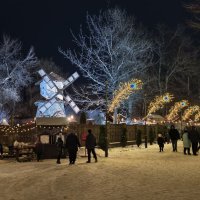 В парке Лога во время новогоднего убранства :: Мариша 
