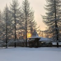 Морозно :: Ольга Чистякова