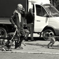 Игорёк... :: СЮ 