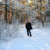 Зима :: Андрей Л. В. Зима :: Андрей Л. В.