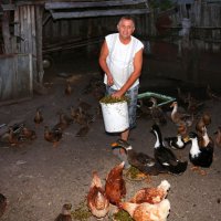 Подсобное хозяйство :: Андрей Л. В.