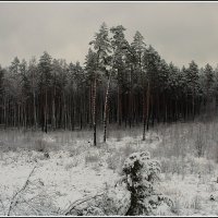 *** :: Aleksandr Gal