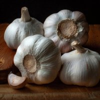 4+ :: Игорь 4+ :: Игорь