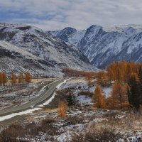 По Чуйскому тракту :: елена беликова