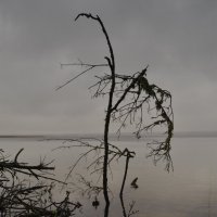 Осень на Виштынце 1 :: Константин 