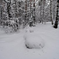 Снеговики на "банане" :: Павел Трунцев