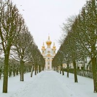 Аллея Верхнего сада - 2 :: VasiLina *