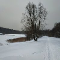 ЧБ графика зимы :: Андрей Лукьянов