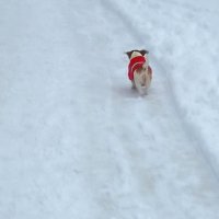 Главное-не потеряться. :: Любимова Ольга 