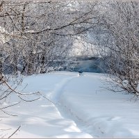 Морозным днём... :: Aquarius - Сергей