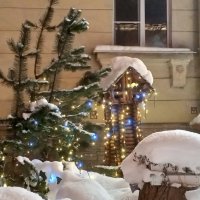 Зима :: Сапсан 