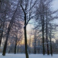 Рассвет :: Сапсан 