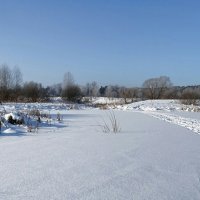 Зима в конце января. :: Милешкин Владимир Алексеевич 