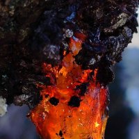 ... :: Светлана Тихонина ... :: Светлана Тихонина