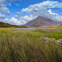 Тундра :: Aleksey Afonin