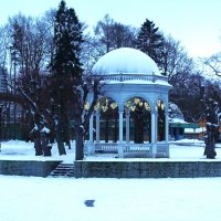 Лебединый пруд :: Aida10 Лебединый пруд :: Aida10