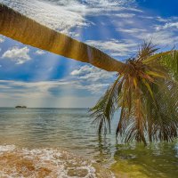 * :: Dmitry i Mary S