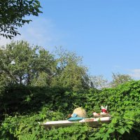 дачный этюд :: Елена Шаламова