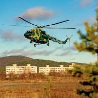 Винтокрылый :: Андрей C