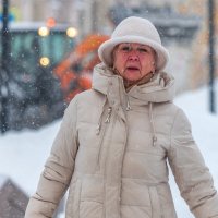 Под снегопадом. :: Анатолий. Chesnavik.