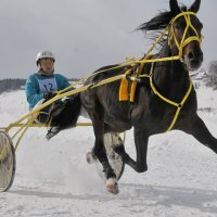 Летящей походкой ... )) :: Владимир Хиль