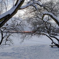 Январский сюжет :: Мария Васильева Январский сюжет :: Мария Васильева