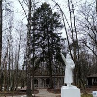 Парк. :: tatiana 