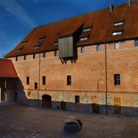 Замок тапиау. Внутренний дворик с колодцем. :: Константин 