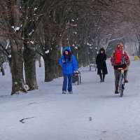 Когда у нас был снег... :: Николай Саржанов