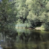 Щучий пруд :: Игорь Белоногов