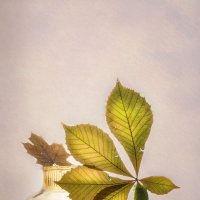 С осенними листьями :: Нина Кутина