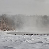 У полыньи... :: Bosanat У полыньи... :: Bosanat