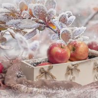 Навеянное днями морозными... ) :: Bosanat 