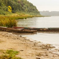 Старые лодки на берегу Оки. :: Вячеслав Владимирович