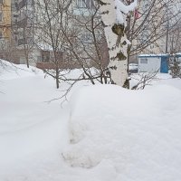 Снегопад на районе :: Татьяна Тюменка