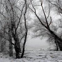 Зимушка :: Олегъ Петрович