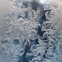 Цветы от Деда Мороза! :: Валентина  Нефёдова 