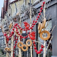 Зима в Калининграде :: Михаил Свиденцов