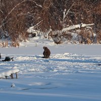Прибыли новые рыбаки :: Любовь Сахарова