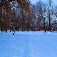 Чебоксары. Зимняя тропинка сквера им. В.И. Чапаева. :: Пётр Чернега