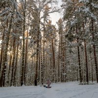 Зимний день переходит в вечер :: Сергей Цветков