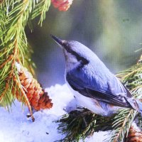 Ищет еду :: Людмила Смородинская Ищет еду :: Людмила Смородинская