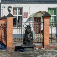 Ученый кот :: Игорь Сикорский