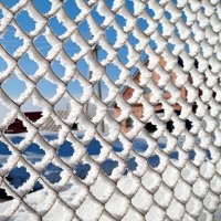 О графике зимы... :: Андрей Заломленков